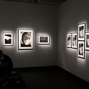 Arkivbild. Fotografiska.
