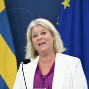 Socialtjänstminister Camilla Waltersson Grönvall (M).