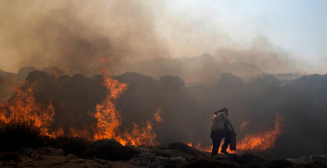 Brand på Rhodos den 24 juli. Petros Giannakouris / AP