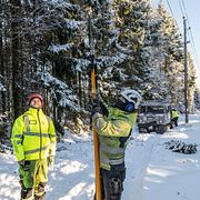 Montörerna Linus och Amadeus sågar ner en grantopp som knäckts av snö och vind och lagt sig på en högspänningsledning  på Österlen 2024.