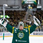 Claes Endre i Björklöven