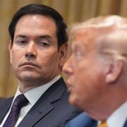 Utrikesminister Marco Rubio och president Donald Trump.