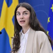 Klimat- och miljöminister Romina Pourmokhtari (L).