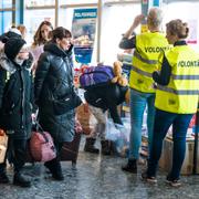 Ukrainska flyktingar anländer till Nynäshamn, 16 mars. 