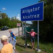 Alligator Alcatraz.
