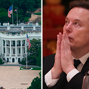 Zuckerberg/Vita huset/Musk.