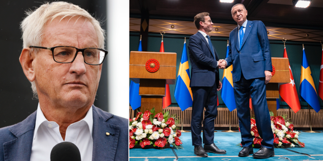 Bildt/Kristersson och Erdogan.  TT.