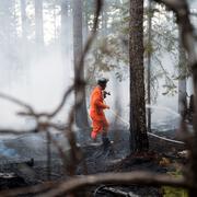 Brandkår bekämpar skogsbranden vid Ulvsbo nordväst om Sala