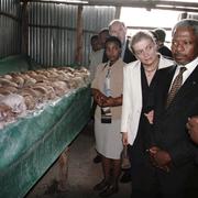 Kofi Annan på plats i Rwanda 1998.