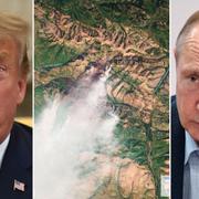 Donald Trump/jättebranden i Sibirien/Vladimir Putin.