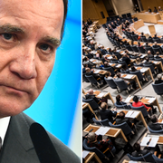 Stefan Löfven (S) och Sveriges riksdag.