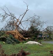 Tyfonen Mawar på Guam. Grace Garces Bordallo / AP