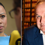 Alice Bah Kuhnke (MP), Jonas Sjöstedt (V). Arkivbilder.