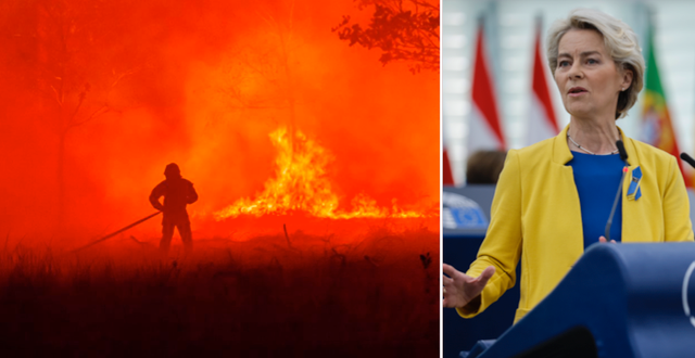 Brand i sydvästra Frankrike. AP, Jean-Francois Badias / AP