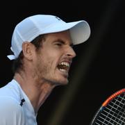 Andy Murray