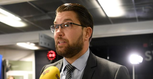 SD-ledaren Jimmie Åkesson. Fredrik Sandberg/TT / TT NYHETSBYRÅN