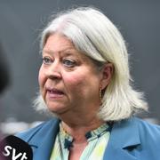 Socialtjänstminister Camilla Waltersson Grönvall (M) tog emot betänkandet från den särskilda utredaren Anna Singer tidigare i veckan. 