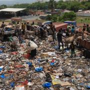 Åsnor på ett sopberg i Bamako i juli