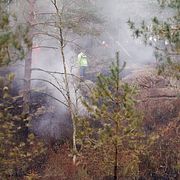 En annan skogsbrand.
