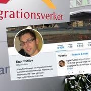 Collage, Migrationsverket och Egor Putilov på Twitter. 