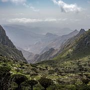 Arkivbild från Socotra.