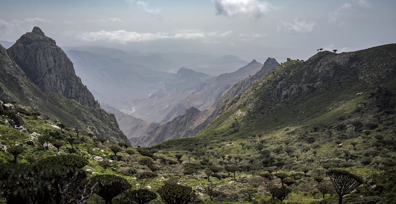 Arkivbild från Socotra.
