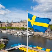 Svenska flaggan vajar på Djurgården i Stockholm, med Strandvägen i bakgrunden.