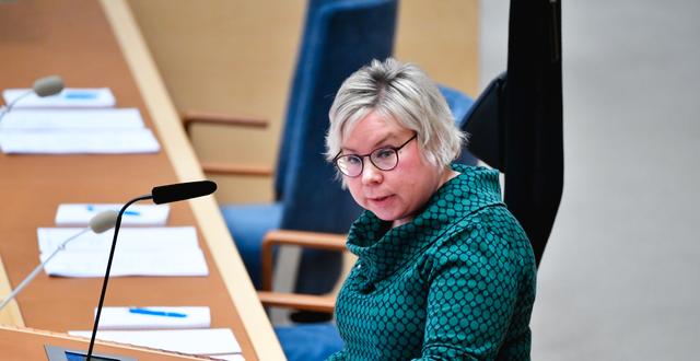 Linda Modig i riksdagen Henrik Montgomery/TT / TT NYHETSBYRÅN