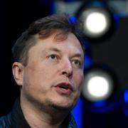 Elon Musk has a fortune of $230 billion.