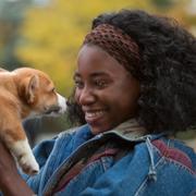 Skådespelaren Kirby Howell-Baptiste i en scen från ”A dog's Purpose”.