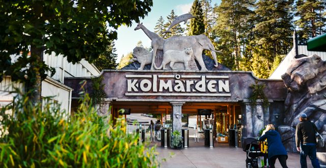Kolmårdens djurpark utanför Norrköping. Pontus Lundahl/TT / TT NYHETSBYRÅN