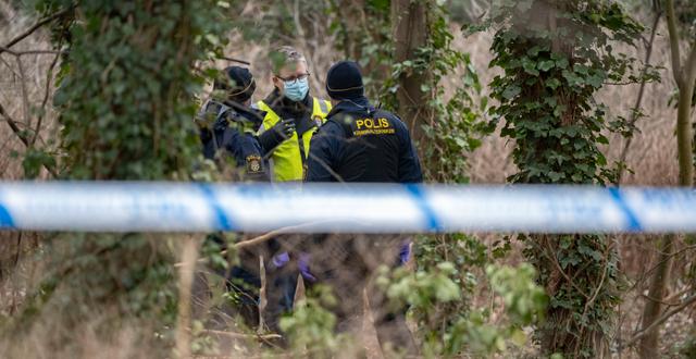 Polis, kriminaltekniker och forensisk arkeolog på plats i Slottsparken när kvarlevorna efter kvinnan hittades. Johan Nilsson/TT