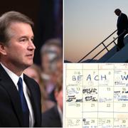 Brett Kavanaugh/Donald Trump/Kavanaughs kalender från −82.