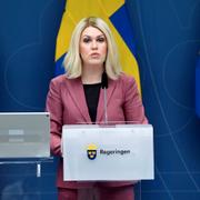 Lena Hallengren/Arkivbild