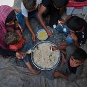 Bild från Gaza, 6 juni. 