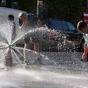 Chicagobor svaklkar