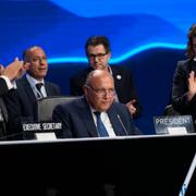 Sameh Shoukry, ordförande för COP27-mötet, får en stående ovation efter ett tal som avslutade mötet i natt. 