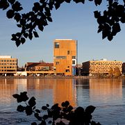 Universitetsområdet i Umea.
