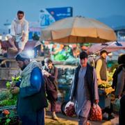 En marknad i Kabul, 6 juni.