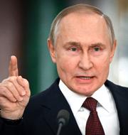 Putin. Sergey Guneyev / AP