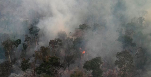 Skogsbränder i regionen Novo Progresso i Brasiulien. Andre Muggiati / AP