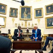 Donald Trump och Cyril Ramaphosa i Vita huset på onsdagen.