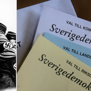 En SD-kandidat skriver på Nordfronts sajt att Hitler gjort gott.
