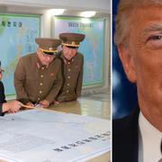 Kim Jong-Un på en bild som tillhandahålls från den nordkoreanska regimtrogna nyhetsbyrån KCNA / Donald Trump