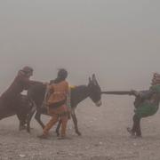 Afghanska kvinnor transporterar nödhjälp på en åsna i oktober 2023. 