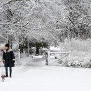 Snöskottning på behörigt avstånd. Arkivbild. 