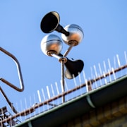 Hesa Fredrik/Omkullblåst Gävlebock.