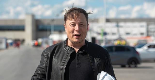 Elon Musk. Christophe Gateau / AP