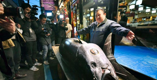 Kiyoshi Kimura poserar med den rekorddyra tonfisken. Koki Sengoku / TT NYHETSBYRÅN