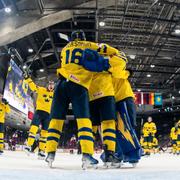 Svenskt jubel efter kvartsfinalen.